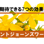 【徹底解説】セントジョーンズワートに期待できる効果を分析してみた
